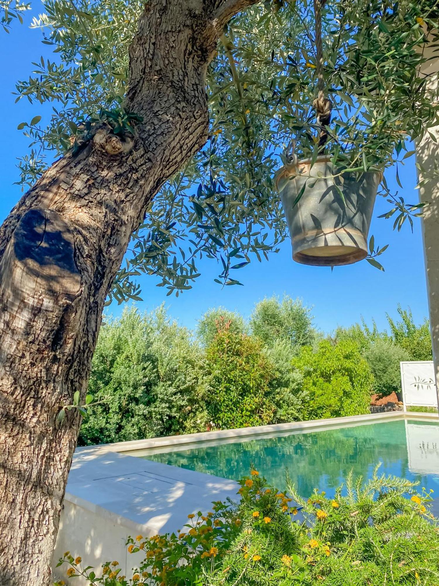 La Mignola Villa Fasano Buitenkant foto